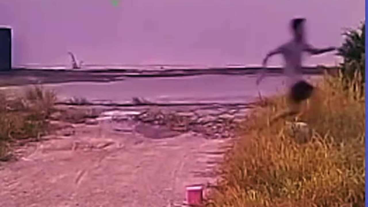 The dog chases people.