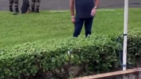 Hey