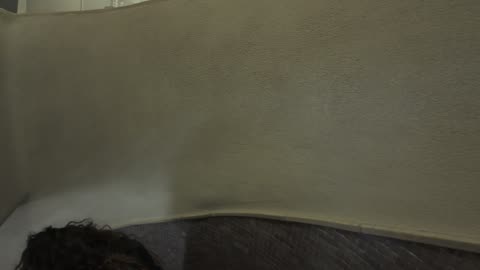 Visita ao "Santuário do Cristo Rei" Happy King's Day 6th Jan 2026 pt 10