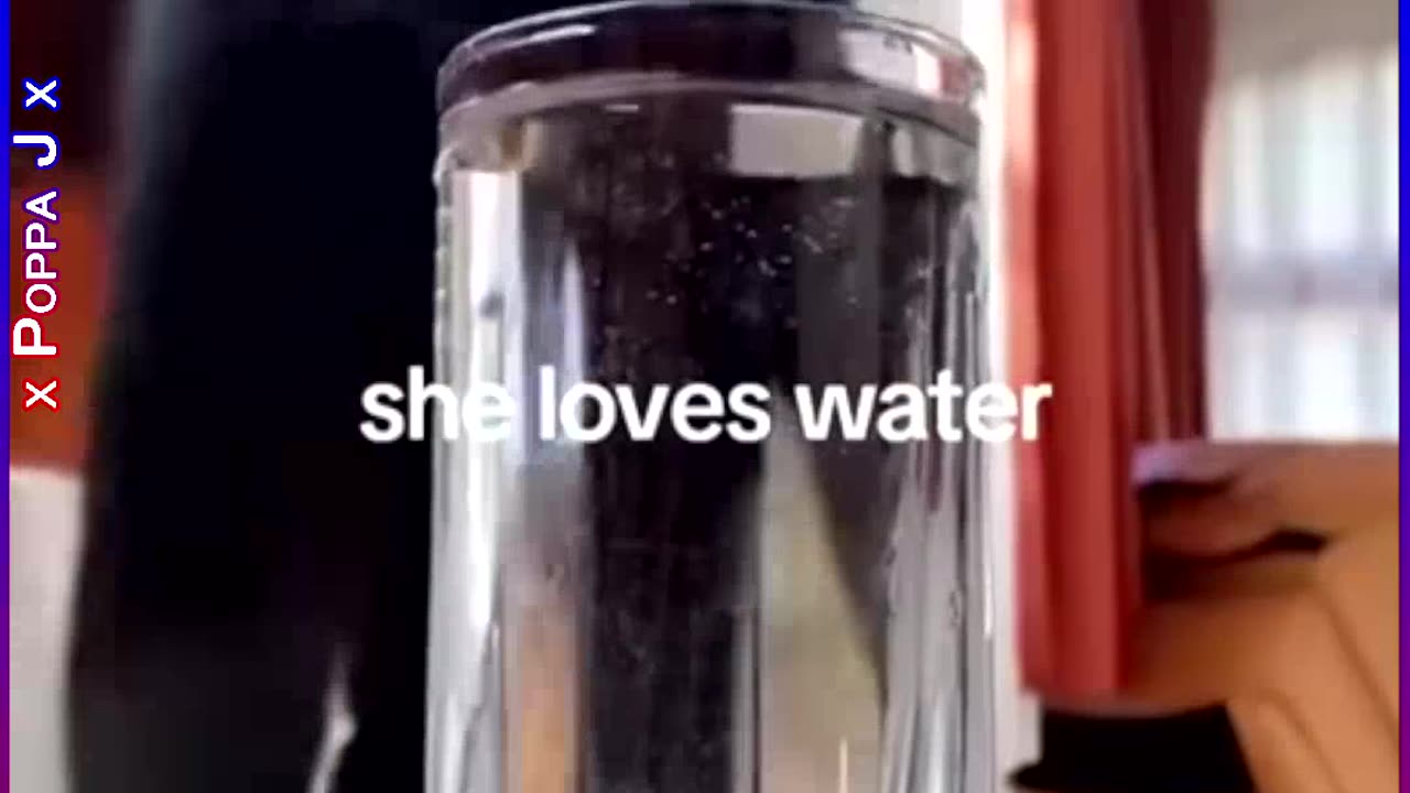 She Loves Water 🖤