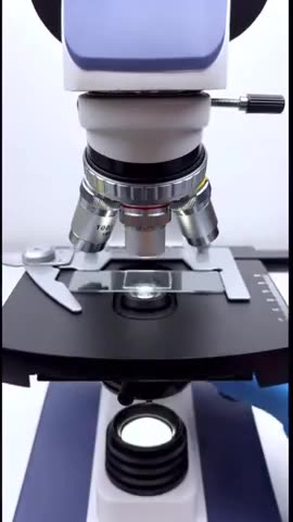 RAIN WATER UNDER A MICROSCOPE..