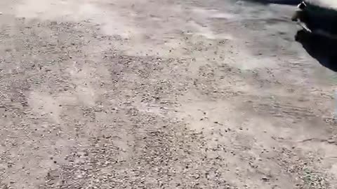 📊👀 How Many Cars Can You Count? | LuxurySportsCars