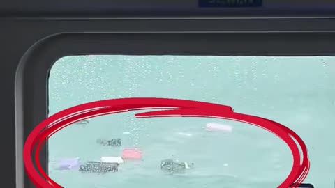 Primero ven maletas flotando… y luego entienden que son de los propios pasajeros