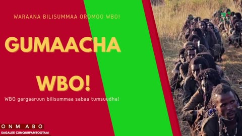 Gabaasa Gumaacha ONM-ABO Onkoloolessa 7-2025 itti dhiyaadhaa!
