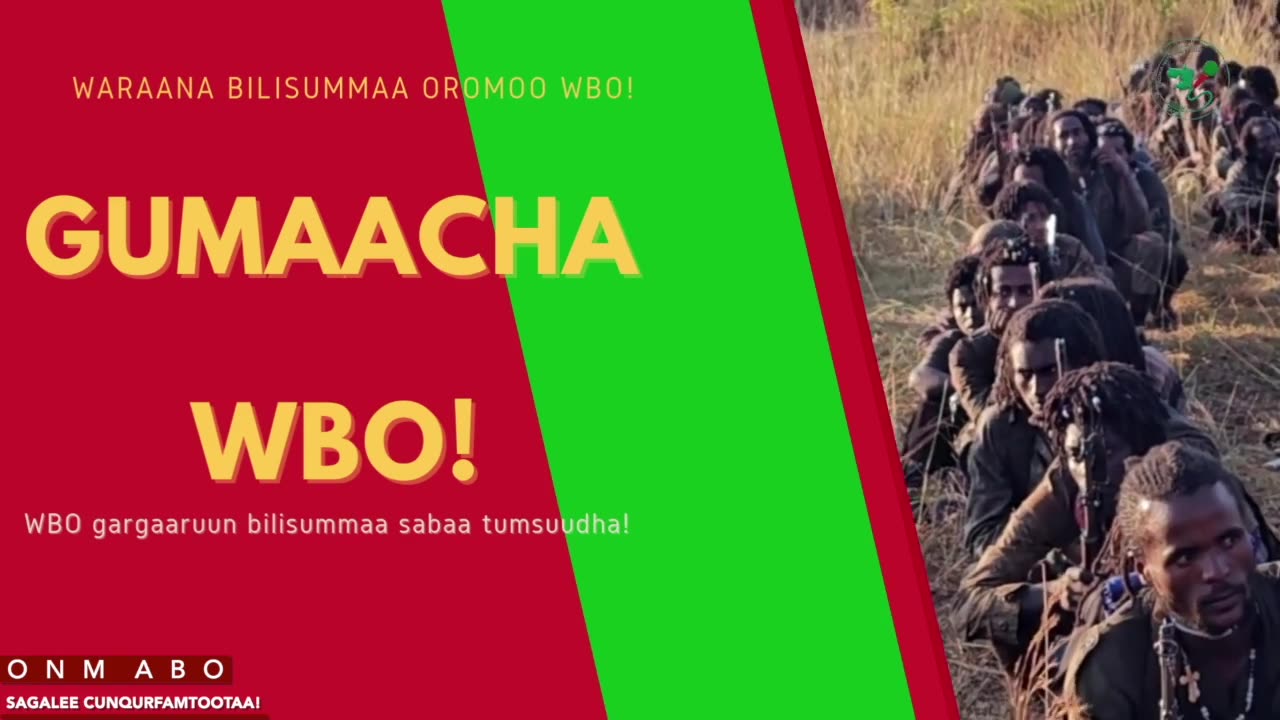 Gabaasa Gumaacha ONM-ABO Onkoloolessa 7-2025 itti dhiyaadhaa!