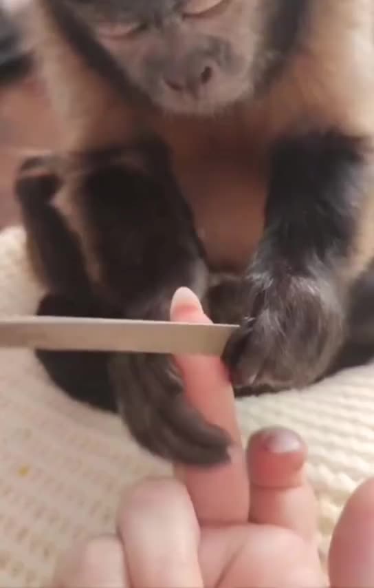 Discount manicure 😊