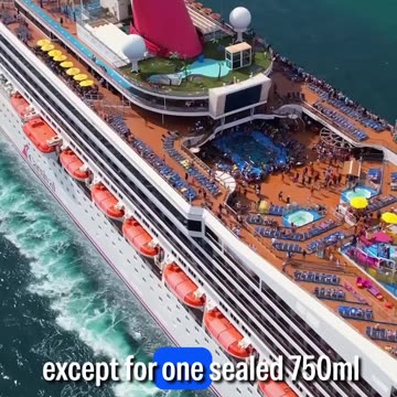 Bride BANNED for Life After TikTok Slip-Up on Carnival Cruise!