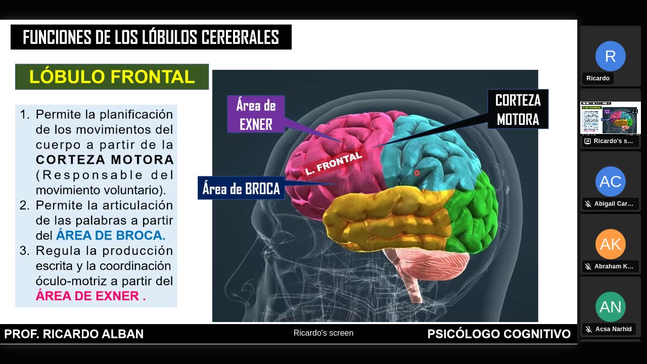 SAVIA SEMIANUAL 2024 | Semana 12 | Psicología S2