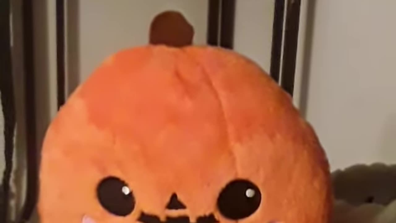 a realist talking Pumpkin 🎃