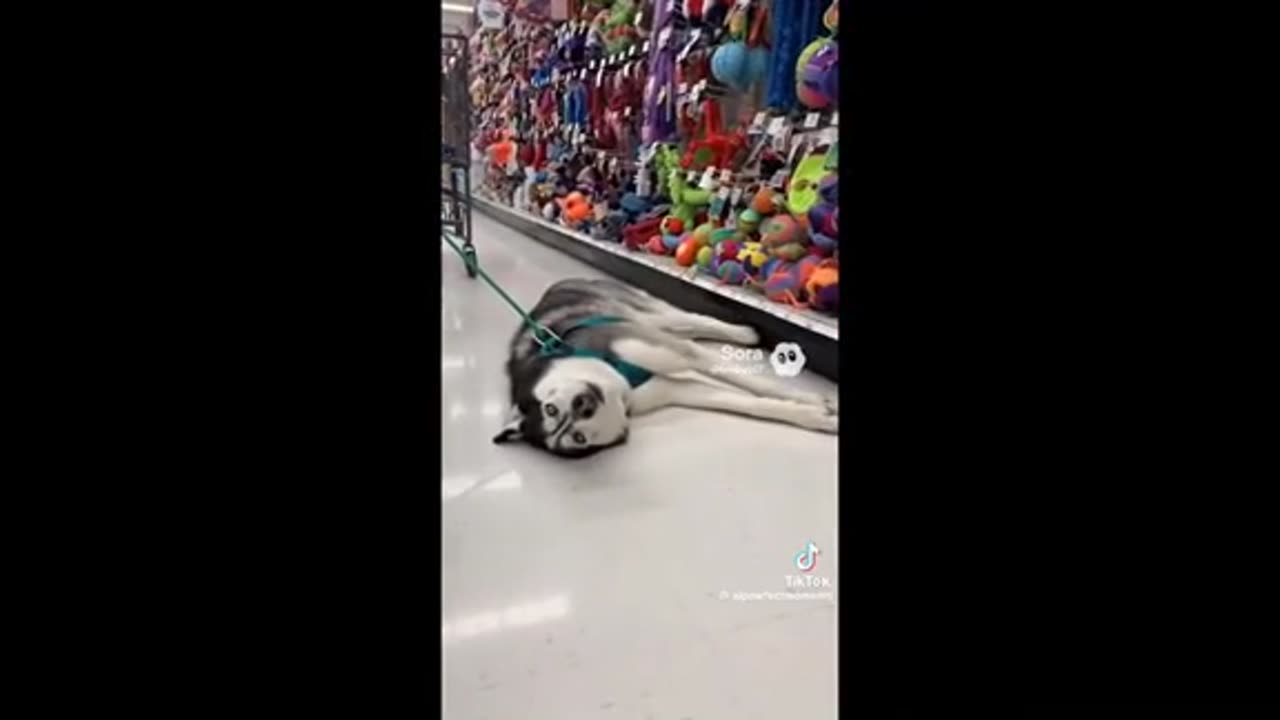 Need a laugh here and there ;)