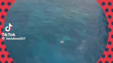 😌✨ So Satisfying Yet So Disturbing... | TheHauntingHour