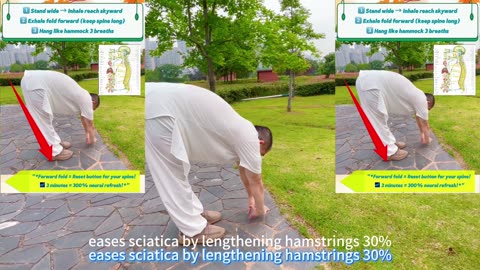 DISCOVER POWERFUL TAOIST TAI CHI EXERCISE FOR SENIORS BETTER HEALTH