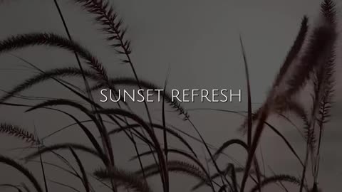 💕✨ Daily Prayer | Gratitude and Thankfulness | InGodWeTrustDaily