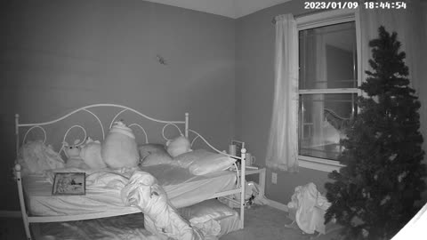 👻🔮 Moving Orbs Captured! What Do They Mean? | TheHauntingHour