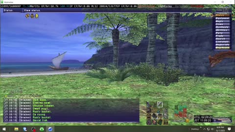 Playing Final Fantasy XI Online