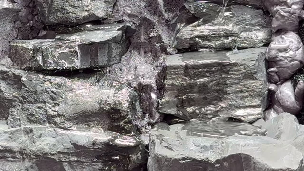 Waterfall Terrarium Build!