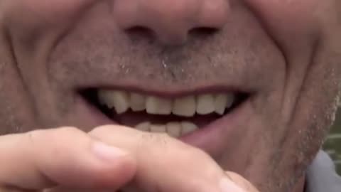 Beautiful memories #safari #animal #wildlifephotographer #naturelovers #photochallenge