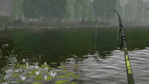 DUCK is stuck in a simulation, Mosquito Lake, Russian Fishing 4 pc game