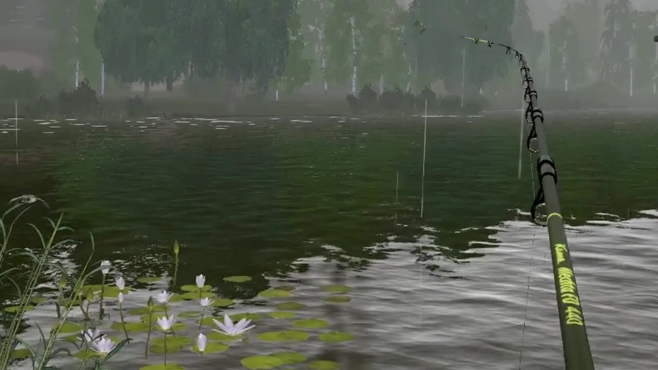 DUCK is stuck in a simulation, Mosquito Lake, Russian Fishing 4 pc game