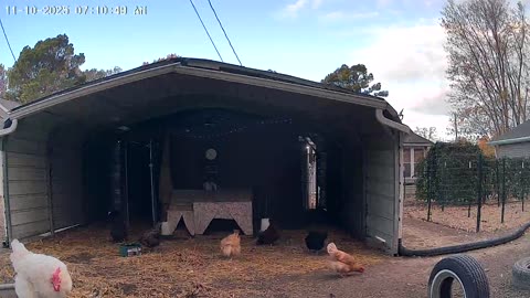 Cold Morning, Warm Breakfast!