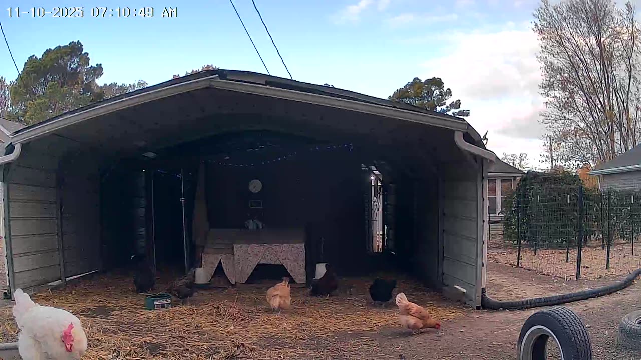 Cold Morning, Warm Breakfast!