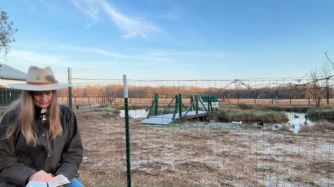 Morning Prayer, Daily Office