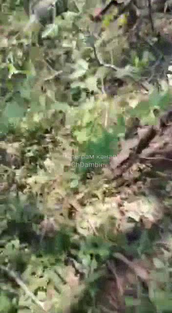 Stormtroopers from Buryatia killed two faggots