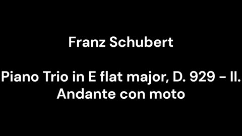 Piano Trio in E flat major, D. 929 - II. Andante con moto