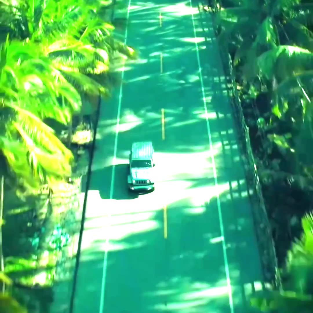 When the Hunter Becomes Hunted