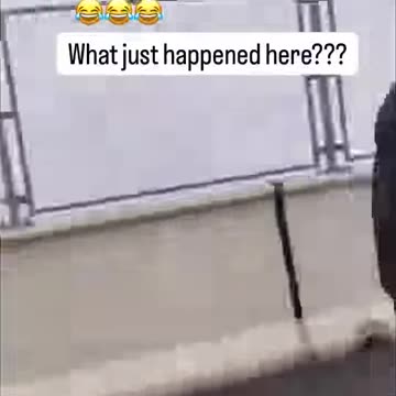 Stupid people going the way of the Dodo 🦤