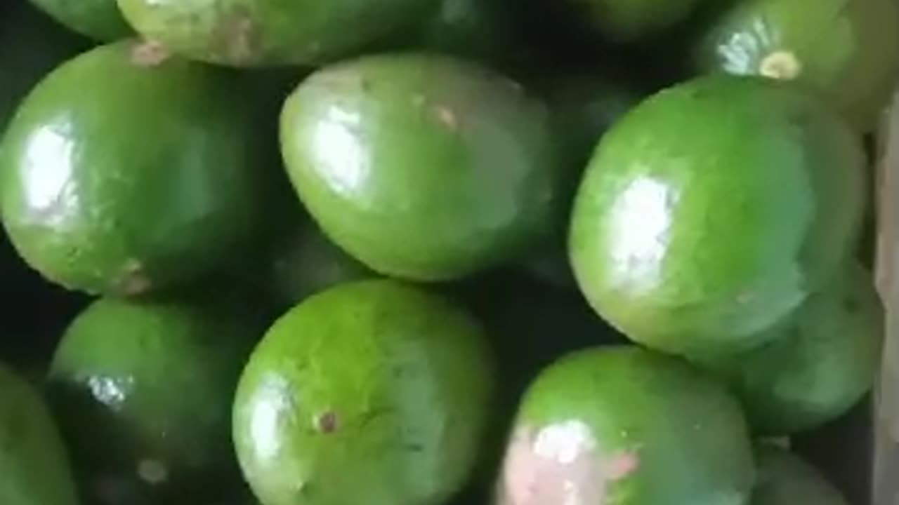 Fresh avocado