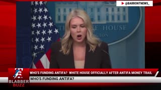 Who's Funding Antifa? White House Officially After Antifa Money Trail
