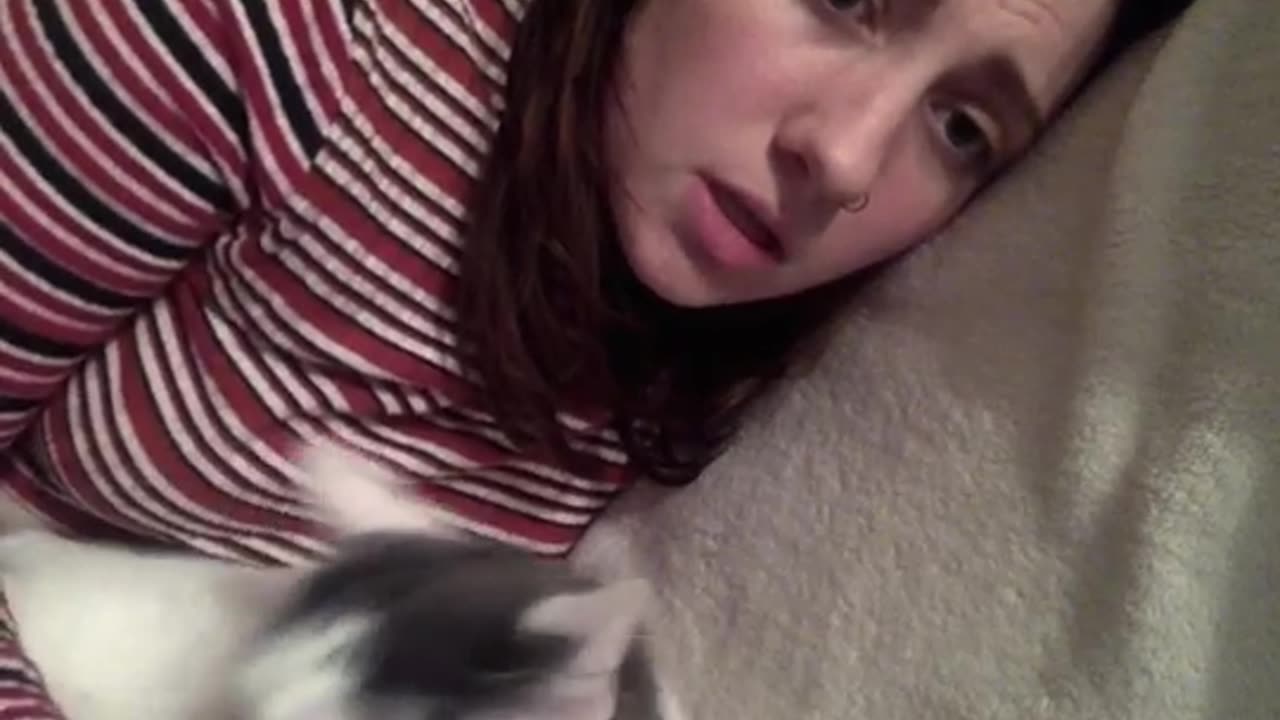 Rowan Gannon: Tipsy singing to my cat at 2am