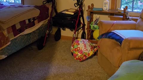 📣👻 Is This Confirmed Communication with a Ghost? | TheHauntingHour