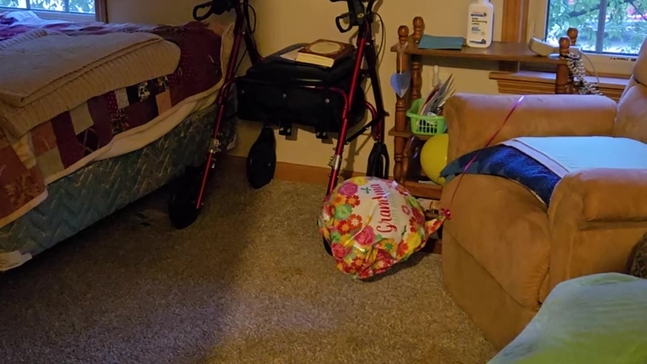 📣👻 Is This Confirmed Communication with a Ghost? | TheHauntingHour