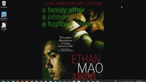 Ethan Mao Review