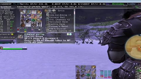 Playing Final Fantasy XI Online