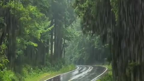 Peaceful Outdoor Views 🌳 Stunning Nature Scenes 🐦🌺 Amazing Nature Views 🍃 #Shorts