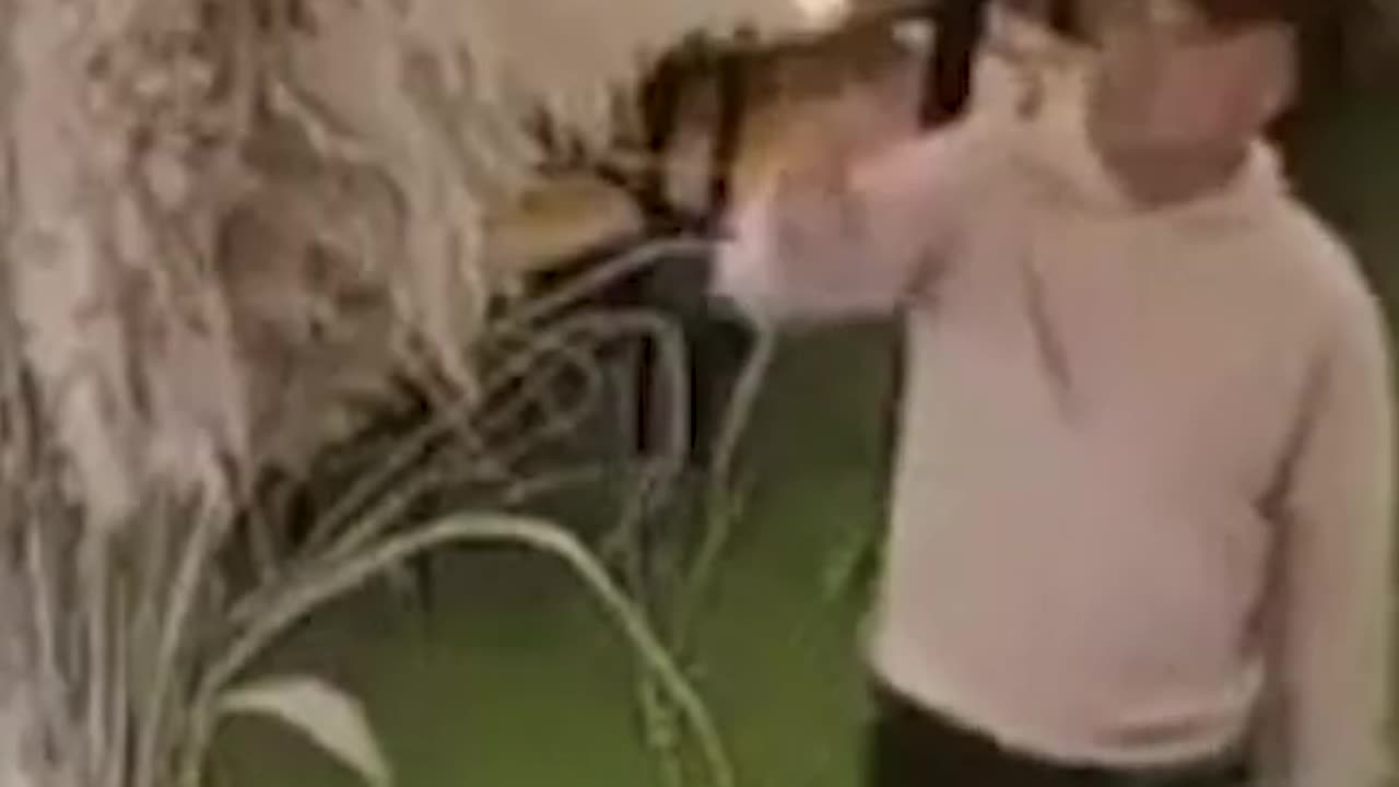 He Didn’t Mean To… but WOW That Escalated 😳