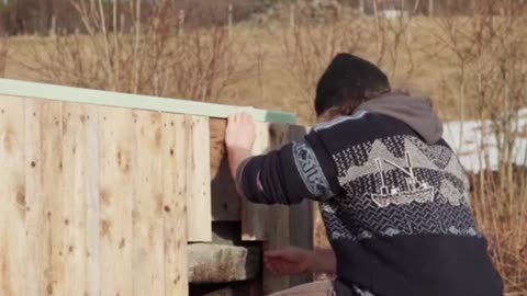 I Built a Shed With Just 10 Pallets!