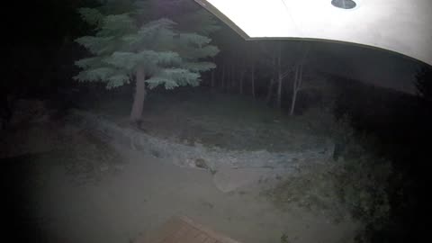 🌲🌌 Cabin Security Cam Captures Strange Activity Last Night... Any Ideas What This Is? | TheHauntingH