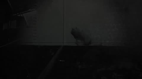 NATO has released footage from the Aegir 25 exercises in Norway, showing the submarine