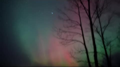 Auroras Through the Trees on Mt. Zion, Upper Peninsula, MI