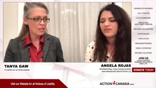 Self-Classifications & ‘R’ Ratings in Video Games