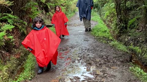 Dad Decides Who to Save