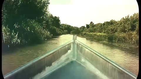 Green River” - Creedence Clearwater Revival Released mid-1969