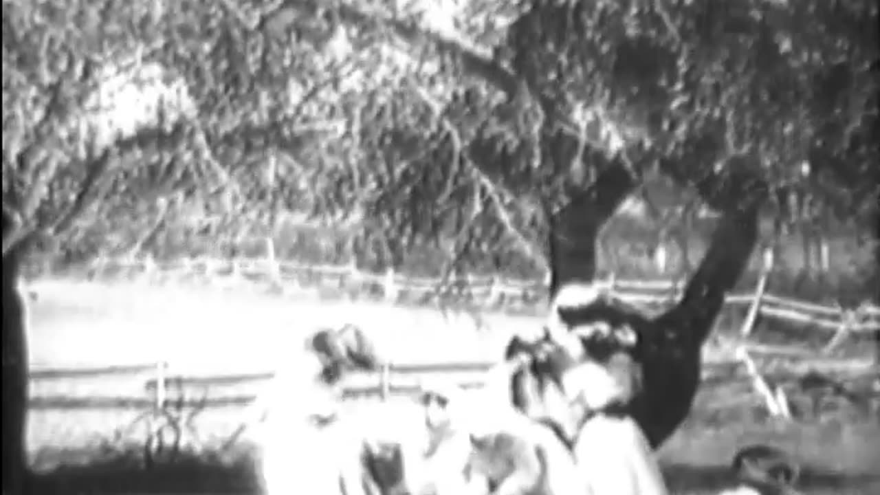 DOWN ON THE FARM [COMEDY] - DOWN ON THE FARM [COMEDY] - fc-fc-1571