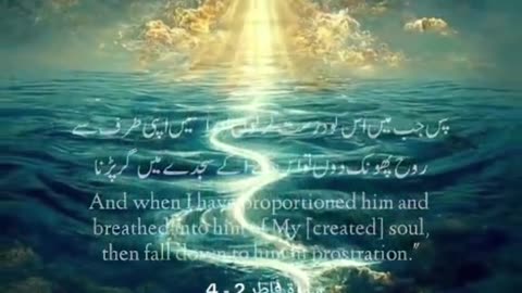 Surah Fatir | Powerful Reminder from the 35th Chapter of the Quran