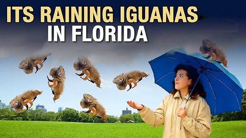 Fourth X-Flare - Iguana Apocalypse - Over 30 Earthquakes Strike Near San Fran, Strongest Being 4.2