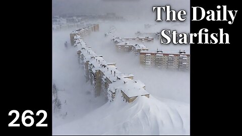 The Daily Starfish #262